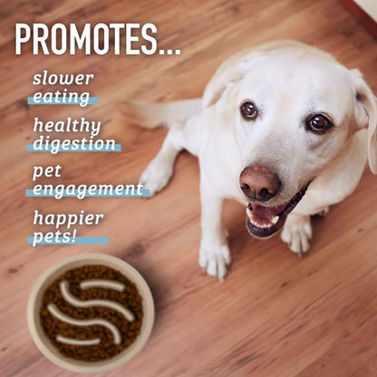 Slow Feeder Dog Bowls - Nonslip Slow Feeder Insert, Healthy Eating Dog Food Bowl, Includes Puppy Essentials Placemat & Star Mold, 2 Cup, Gray