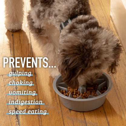Slow Feeder Dog Bowls - Nonslip Slow Feeder Insert, Healthy Eating Dog Food Bowl, Includes Puppy Essentials Placemat & Star Mold, 2 Cup, Gray